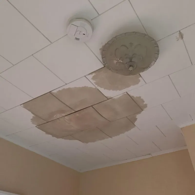 Ceiling Water Damage Repair in Cold Spring Harbor, NY