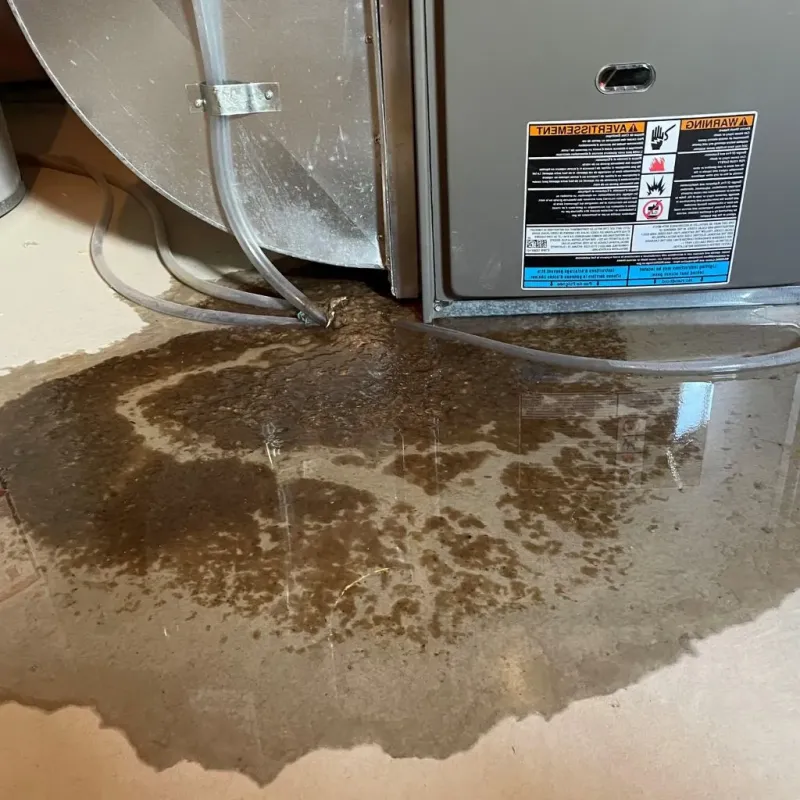 Pipe Burst and Leak Restoration in Cold Spring Harbor, NY